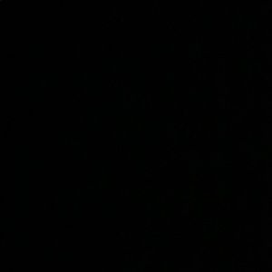 Meet your Posher, Jisela